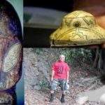 В Мексике найдены каменные фигурки НЛО