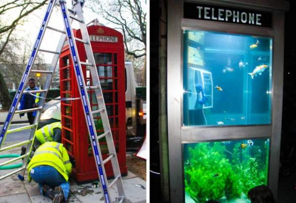 Телефон-аквариум