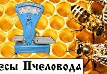 Пчеловодные весы для успешного содержания пчёл