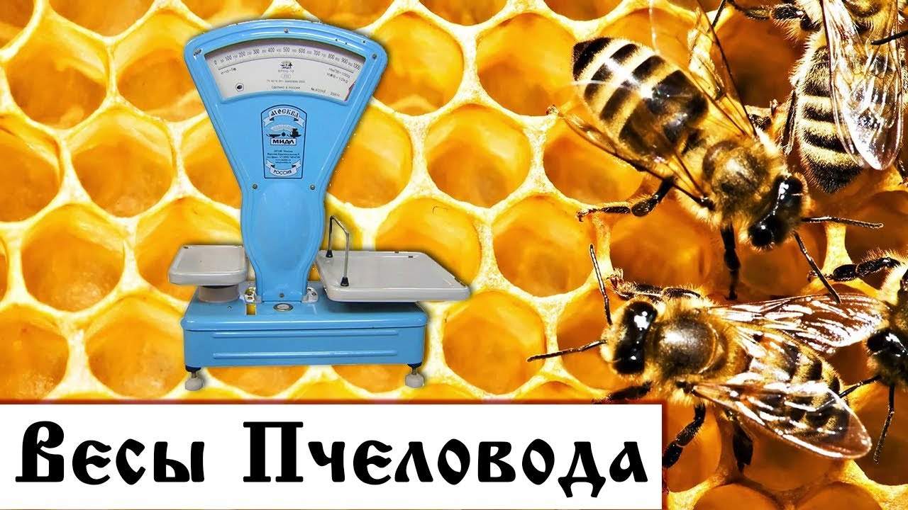 Пчеловодные весы для успешного содержания пчёл