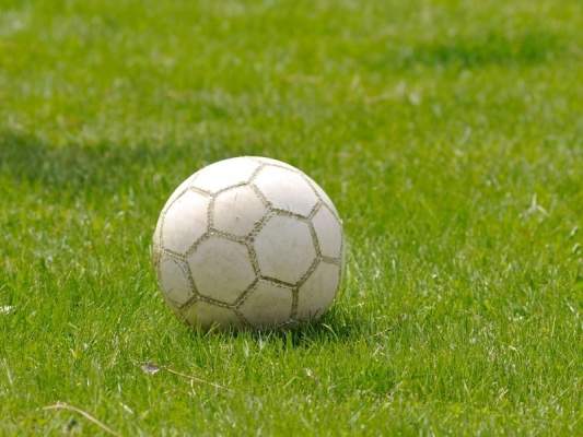 Чемпионат страны по футболу просят остановить без определения победителя