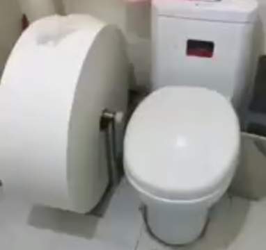 Самый большой рулон туалетной бумаги