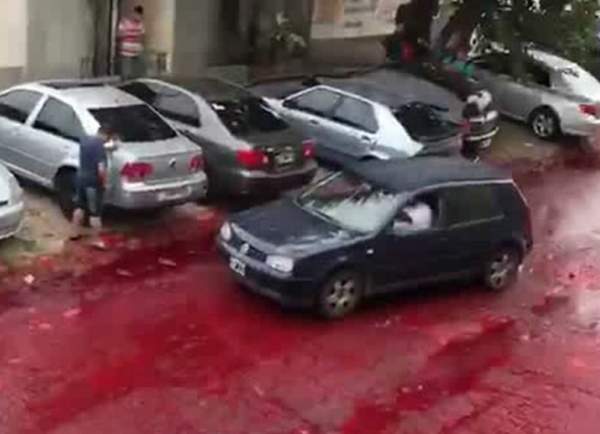 В Аргентине улицы затопило кровью