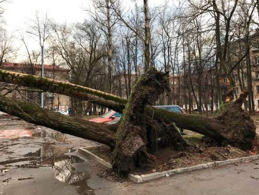 В Москве штормовой ветер повалил более 130 деревьев и повредил свыше 20 автомобилей (ФОТО)