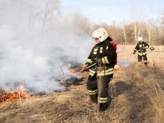 Самоизоляция на дачах приблизила пик лесных пожаров в России: огонь уже пришел в ряд регионов раньше времени