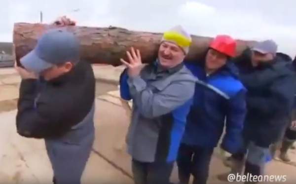 Лукашенко несет бревно на стройке