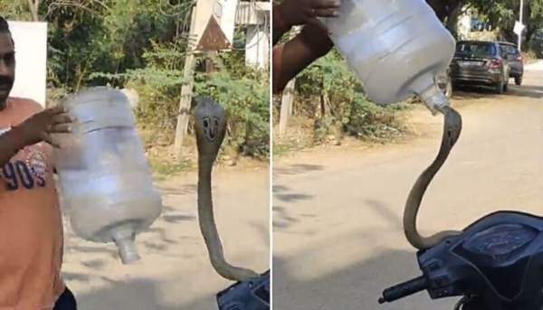Поймал змею с помощью бутылки